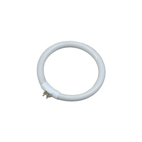 Tube fluorescent EDM 00275 Blanc 9 W | Tienda24 - Global Online Shop Tienda24.eu