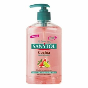 Jabón de Manos con Dosificador Sanytol 280120 Cocina 250 ml de Sanytol, Jabónes de manos - Ref: S7921136, Precio: 4,94 €, Des...