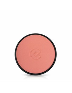 Ombre à paupières Shiseido Pop 2,5 g | Tienda24 Tienda24.eu