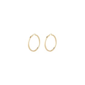 Pendientes Mujer Guess JUBE03037JWYGT-U | Tienda24 Tienda24.eu