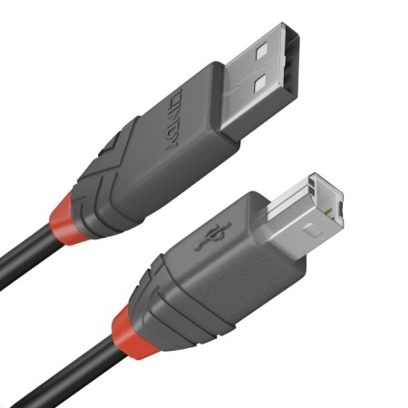 Cable USB A a USB B LINDY 36677 10 m Negro Gris | Tienda24 Tienda24.eu