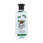 Champú Hidratante Xpel Coco 400 ml | Tienda24 - Global Online Shop Tienda24.eu