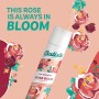 Champô em Seco Batiste Rose Gold 350 ml | Tienda24 - Global Online Shop Tienda24.eu