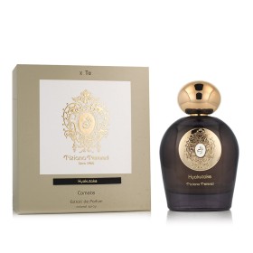 Parfum Unisexe Tiziana Terenzi Hyakutake 100 ml de Tiziana Terenzi, Extrait de Parfum - Réf : S8315682, Prix : 220,78 €, Remi...