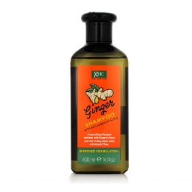 Shampooing Tot Herba (500 ml) | Tienda24 - Global Online Shop Tienda24.eu