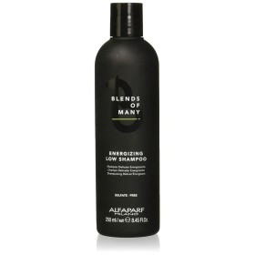 Shampoo Salerm HairLab A Equilibrante 1,2 L | Tienda24 - Global Online Shop Tienda24.eu