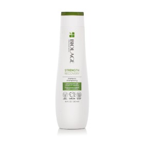 Shampoo Matrix Biolage Strength Recovery 250 ml by Matrix, Shampoos - Ref: S8319190, Price: 16,07 €, Discount: %