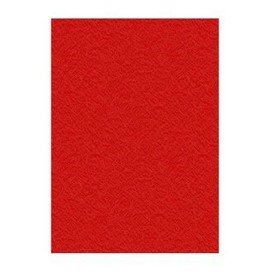 Copertine per rilegatura Displast Rosso A4 Cartone 50 Pezzi di Displast, Copertine per rilegatrici - Rif: S8404087, Prezzo: 1...