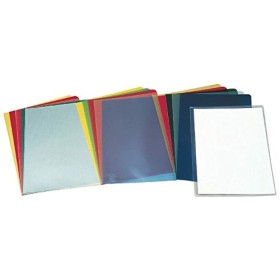 Carpeta Clasificadora Esselte Transparente Din A4 de Esselte, Carpetas - Ref: S8405955, Precio: 16,46 €, Descuento: %