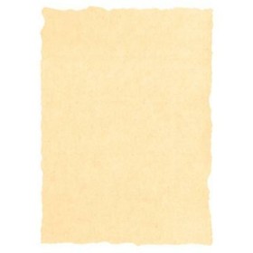 Parchment paper Michel Cream A4 25 Pieces by Michel, Vellum - Ref: S8412829, Price: 18,44 €, Discount: %