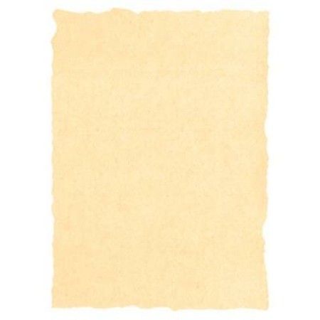 Parchment paper Michel Cream A4 25 Pieces | Tienda24 - Global Online Shop Tienda24.eu