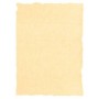 Parchment paper Michel Cream A4 25 Pieces | Tienda24 - Global Online Shop Tienda24.eu