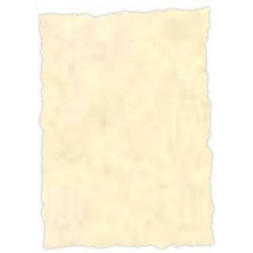 Parchment paper Michel Topaz A4 25 Pieces by Michel, Vellum - Ref: S8412830, Price: 11,69 €, Discount: %