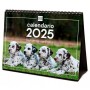 Tischkalender Finocam CACHORROS CARIÑOSOS Bunt Papier 21 x 15 cm 2025 | Tienda24 - Global Online Shop Tienda24.eu