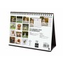 Tischkalender Finocam CACHORROS CARIÑOSOS Bunt Papier 21 x 15 cm 2025 | Tienda24 - Global Online Shop Tienda24.eu