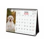 Tischkalender Finocam CACHORROS CARIÑOSOS Bunt Papier 21 x 15 cm 2025 | Tienda24 - Global Online Shop Tienda24.eu