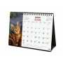 Calendario de Sobremesa Finocam GATITOS ENTRAÑABLES Multicolor Papel 21 x 15 cm 2025 | Tienda24 - Global Online Shop Tienda24.eu