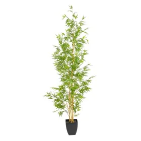 Plante décorative Polyéthylène Bambou 90 x 86 x 220 cm de BigBuy Home, Plantes artificielles - Réf : S8805813, Prix : 181,33 ...