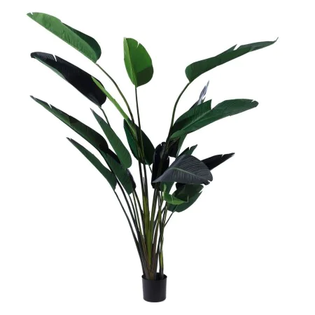 Plante décorative Polyéthylène Fer Ciment Oiseaux de paradis 245 cm 120 x 120 x 245 cm de BigBuy Home, Plantes artificielles ...