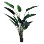 Planta Decorativa Polietileno Hierro Cemento Ave del paraíso 245 cm 120 x 120 x 245 cm de BigBuy Home, Plantas - Ref: S880604...