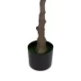 Planta Decorativa PVC Cimento Tecido 40 x 40 x 140 cm de BigBuy Home, Plantas - Ref: S8806069, Preço: 82,11 €, Desconto: %