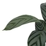 Plante décorative PVC Ciment Tissu 40 x 40 x 150 cm de BigBuy Home, Plantes artificielles - Réf : S8806071, Prix : 72,12 €, R...