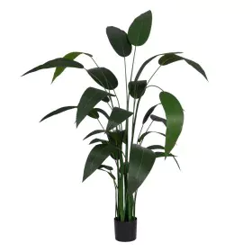 Planta Decorativa PVC Cimento Tecido Ave do paraíso 50 x 50 x 220 cm de BigBuy Home, Plantas - Ref: S8806072, Preço: 133,83 €...