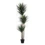 Planta Decorativa Polietileno Ferro Cimento Iúca 30 x 30 x 250 cm de BigBuy Home, Plantas - Ref: S8806163, Preço: 300,98 €, D...