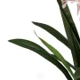 Plante décorative Bambou Polyéthylène Fer Ciment Tissu 50 x 50 x 100 cm de BigBuy Home, Plantes artificielles - Réf : S880622...