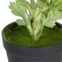 Planta Decorativa Poliéster Polietileno Ferro Flor 11 x 11 x 36 cm de BigBuy Home, Plantas - Ref: S8806530, Preço: 9,20 €, De...