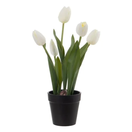 Plante décorative Polyester Polyéthylène Fer 11 x 11 x 31 cm de BigBuy Home, Plantes artificielles - Réf : S8806553, Prix : 7...