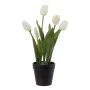 Decorative Plant Polyester Polyethylene Iron 11 x 11 x 31 cm by BigBuy Home, Artificial Plants - Ref: S8806553, Price: 8,39 €...