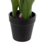 Plante décorative Polyester Polyéthylène Fer 11 x 11 x 31 cm de BigBuy Home, Plantes artificielles - Réf : S8806554, Prix : 8...