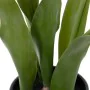 Plante décorative Polyester Polyéthylène Fer 11 x 11 x 31 cm de BigBuy Home, Plantes artificielles - Réf : S8806554, Prix : 8...