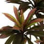 Plante décorative Caoutchouc polypropylène 80 X 80 X 165 CM de BigBuy Home, Plantes artificielles - Réf : S8806695, Prix : 70...