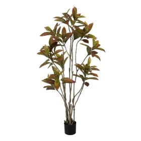 Plante décorative Caoutchouc polypropylène 60 x 60 x 150 cm de BigBuy Home, Plantes artificielles - Réf : S8806699, Prix : 79...