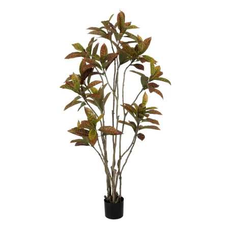 Decorative Plant Rubber polypropylene 60 x 60 x 150 cm by BigBuy Home, Artificial Plants - Ref: S8806699, Price: 81,61 €, Dis...