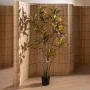 Decorative Plant Rubber polypropylene 60 x 60 x 150 cm by BigBuy Home, Artificial Plants - Ref: S8806699, Price: 81,61 €, Dis...