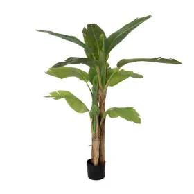 Planta Decorativa Borracha 90 X 90 X 125 CM de BigBuy Home, Plantas - Ref: S8806700, Preço: 82,11 €, Desconto: %