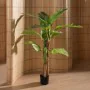 Planta Decorativa Borracha 90 X 90 X 125 CM de BigBuy Home, Plantas - Ref: S8806700, Preço: 79,57 €, Desconto: %