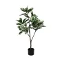 Plante décorative Caoutchouc polypropylène 50 x 50 x 120 cm de BigBuy Home, Plantes artificielles - Réf : S8806701, Prix : 46...