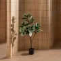 Planta Decorativa Borracha Polipropileno 50 x 50 x 120 cm de BigBuy Home, Plantas - Ref: S8806701, Preço: 46,92 €, Desconto: %