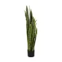 Planta Decorativa Borracha Polipropileno 20 X 20 X 115 CM de BigBuy Home, Plantas - Ref: S8806702, Preço: 71,90 €, Desconto: %