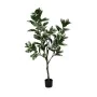 Decorative Plant Rubber 70 x 70 x 150 cm by BigBuy Home, Artificial Plants - Ref: S8806709, Price: 74,71 €, Discount: %