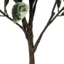 Decorative Plant Rubber 70 x 70 x 150 cm by BigBuy Home, Artificial Plants - Ref: S8806709, Price: 74,71 €, Discount: %