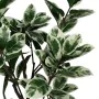 Decorative Plant Rubber 70 x 70 x 150 cm by BigBuy Home, Artificial Plants - Ref: S8806709, Price: 74,71 €, Discount: %