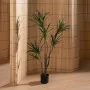 Plante décorative Caoutchouc polypropylène 70 x 70 x 130 cm de BigBuy Home, Plantes artificielles - Réf : S8806710, Prix : 44...