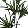 Plante décorative Caoutchouc polypropylène 70 x 70 x 130 cm de BigBuy Home, Plantes artificielles - Réf : S8806710, Prix : 44...