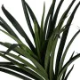 Plante décorative Caoutchouc polypropylène 70 x 70 x 130 cm de BigBuy Home, Plantes artificielles - Réf : S8806710, Prix : 44...