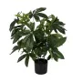 Planta Decorativa 50 X 50 X 70 CM de BigBuy Home, Plantas - Ref: S8806712, Preço: 31,28 €, Desconto: %